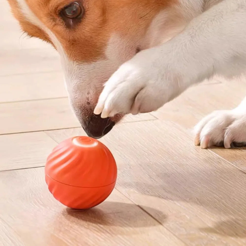 Smart Auto-Moving Dog Ball Toy — USB Rechargeable, Interactive Puppy Toy