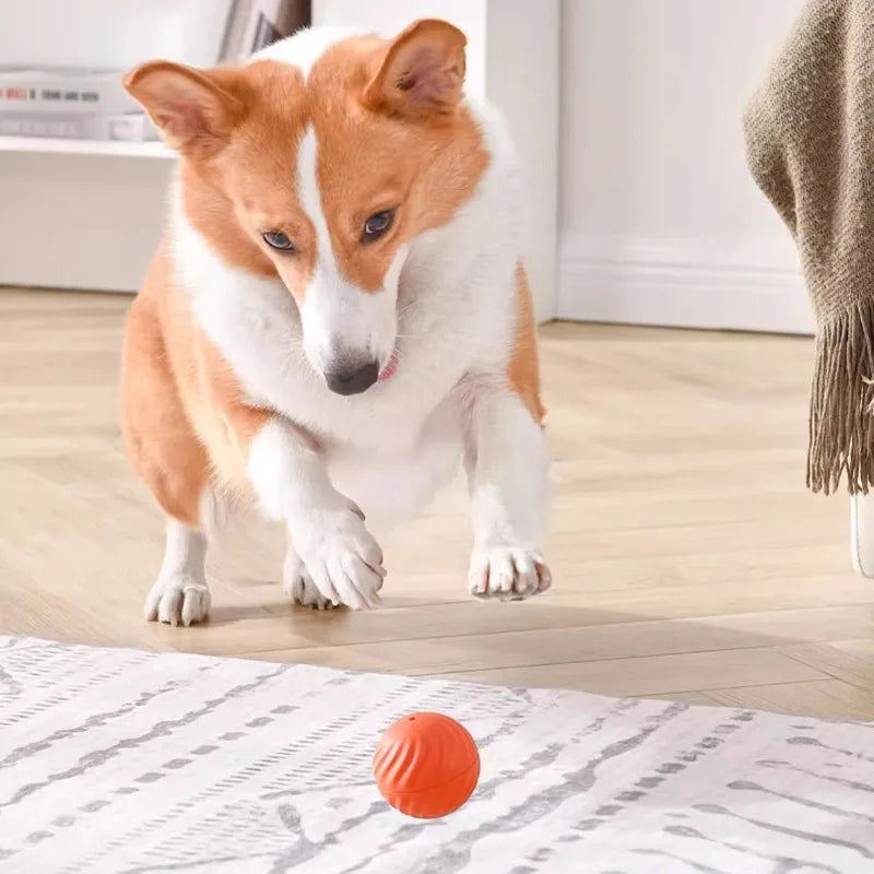 Smart Auto-Moving Dog Ball Toy — USB Rechargeable, Interactive Puppy Toy